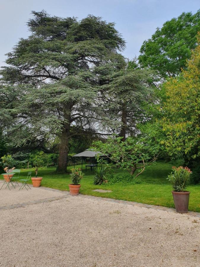 Vila Douceurs Des Vignes Du Vivian Denicé Exteriér fotografie