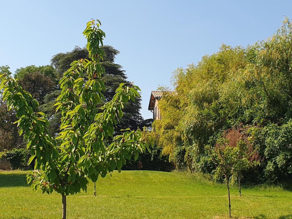 Vila Douceurs Des Vignes Du Vivian Denicé Exteriér fotografie